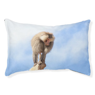 Majestic Baboon on Mountain Peak Pet Bed