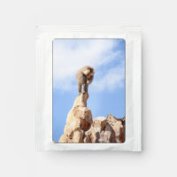 Majestic Baboon on Mountain Peak
