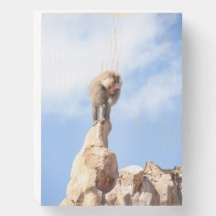 Majestic Baboon on Mountain Peak Wooden Box Sign