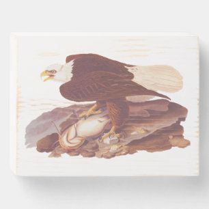 Majestic Bald Eagle by Audubon with Fresh Fish Wooden Box Sign