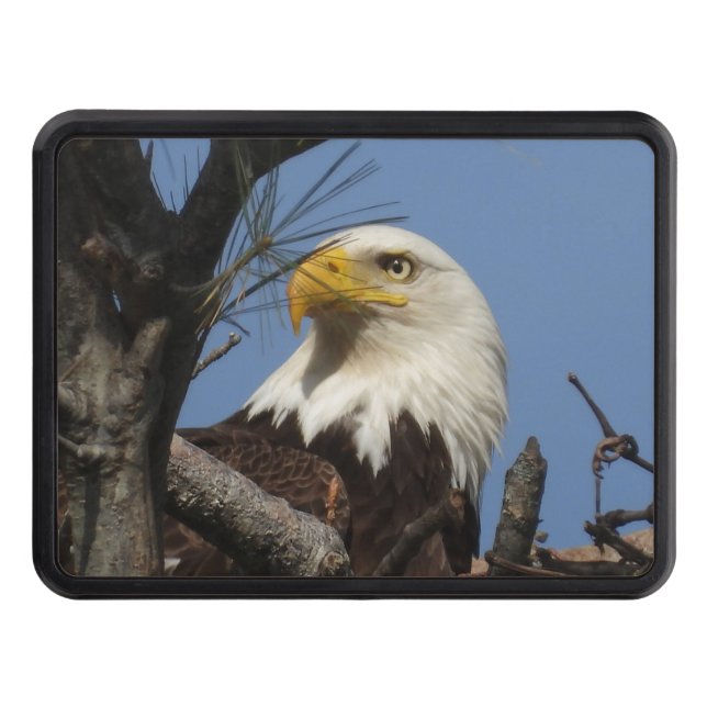 Majestic Bald Eagle Close up Hitch Cover (Front)