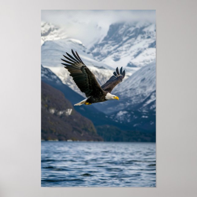 Majestic Bald Eagle Flying Low Over Snowy Water Po Poster (Front)