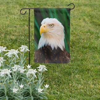 Majestic Bald Eagle Garden Flag