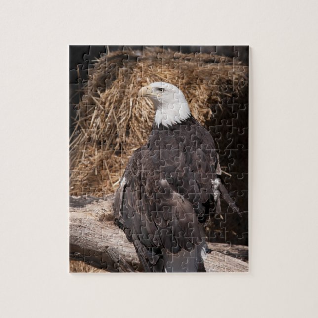 Majestic bald eagle jigsaw puzzle (Vertical)