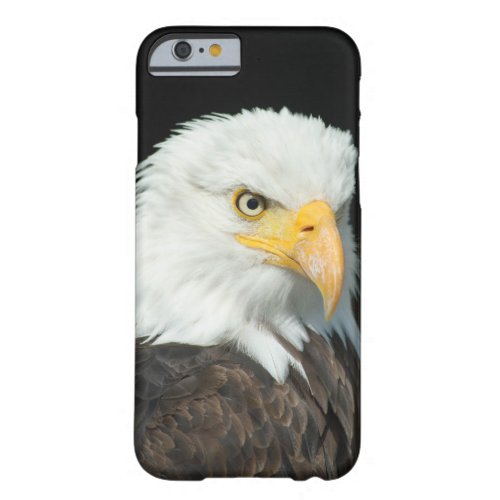 Majestic Bald Eagle Portrait Barely There iPhone 6 Case
