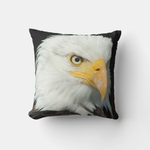 Majestic Bald Eagle Portrait Throw Pillow