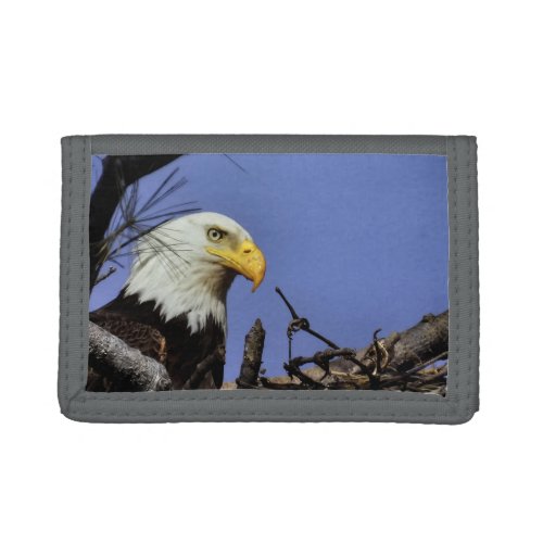 Majestic Bald Eagle  Trifold Wallet