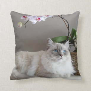 Majestic Balinese Cat Throw Pillow