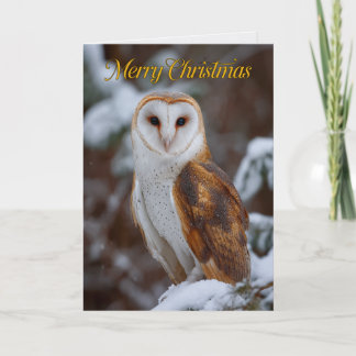 Majestic Barn Owl Photo Christmas Card