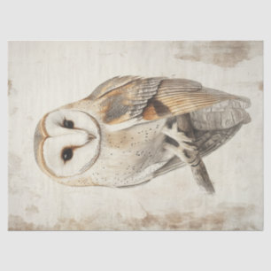 Majestic Barn Owl Vintage Decoupage Bird Art Tissue Paper