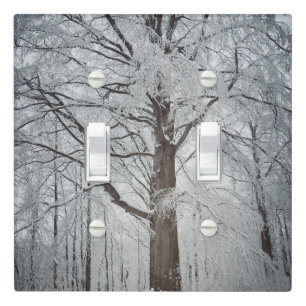 Majestic beech tree in the winter forest light switch cover