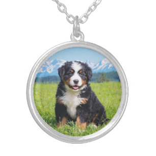 Majestic Bernese Mountain Dog Silver Plated Necklace
