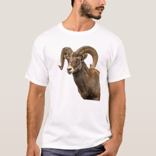 Majestic Bighorn Sheep on Rocky Hillside T-Shirt