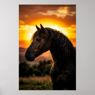 Majestic Black Horse Sunset Poster Elegant Weste
