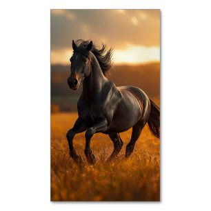 Majestic Black Stallion Horse Autumn Sunset Landsc Business Card Magnet