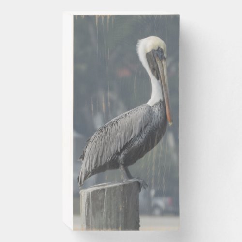 Majestic Brown Pelican on Wooden Post Wooden Box Sign
