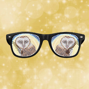 Majestic Brown Spotted Owl Yellow Moon Retro Sunglasses