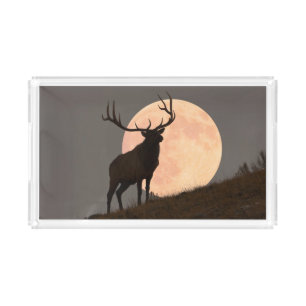 Majestic Bull Elk and Full Moon Rise Acrylic Tray