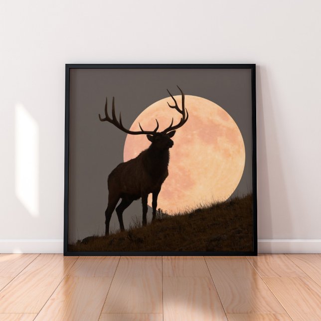 Majestic Bull Elk and Full Moon Rise Poster (Creator Uploaded)