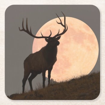 Majestic Bull Elk And Full Moon Rise Square Paper Coaster by usyellowstone at Zazzle