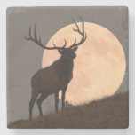 Majestic Bull Elk And Full Moon Rise Stone Coaster at Zazzle