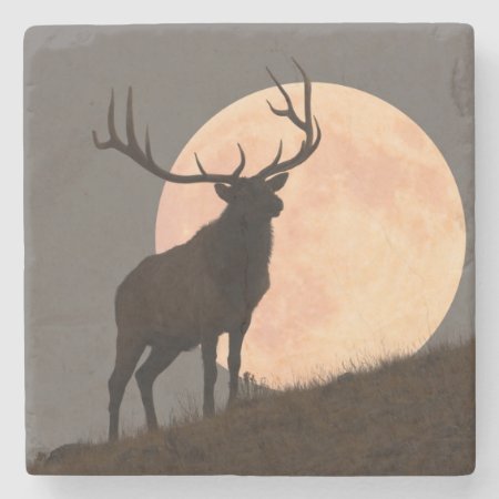 Majestic Bull Elk And Full Moon Rise Stone Coaster