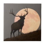 Majestic Bull Elk And Full Moon Rise Tile at Zazzle