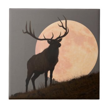 Majestic Bull Elk And Full Moon Rise Tile by usyellowstone at Zazzle