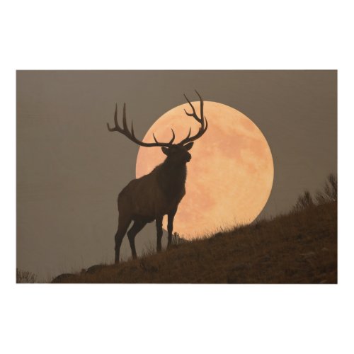 Majestic Bull Elk and Full Moon Rise Wood Wall Decor