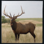 Majestic Bull Elk Napkin<br><div class="desc">Canadian bull elk, in full glory. Another lovely photograph by noted wildlife and nature photographer and artist, Bryan Smith. More of his fine work is available in our store and regularly updated, why not visit often and see what is new and exciting?</div>