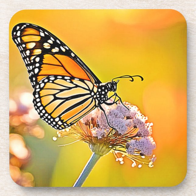 Majestic Butterfly Close Up Design Beverage Coaster (Front)