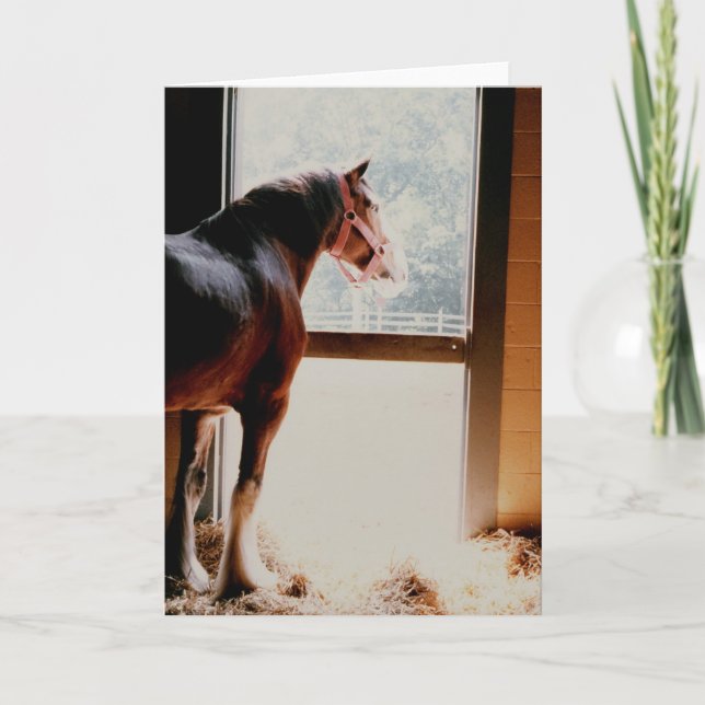 Majestic Clydesdale Card (Front)