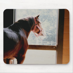 Majestic Clydesdale Mouse Pad