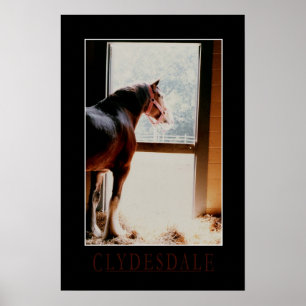 Majestic Clydesdale Poster