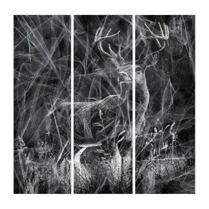 Majestic Deer in the Wilderness – Black&White Art