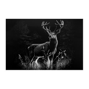 Majestic Deer in the Wilderness – Black&White Art