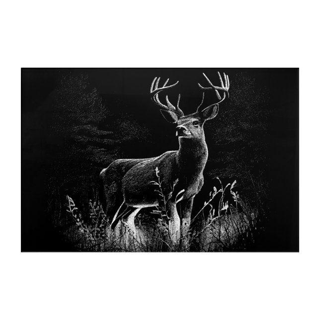 Majestic Deer in the Wilderness – Black&White Art (Front)