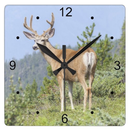 Majestic Deer Square Wall Clock