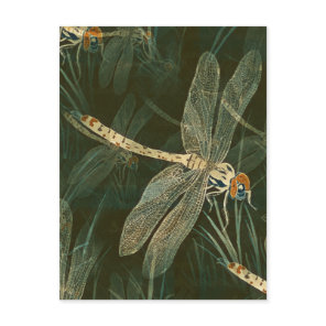 Majestic Dragonfly Pattern  Postcard