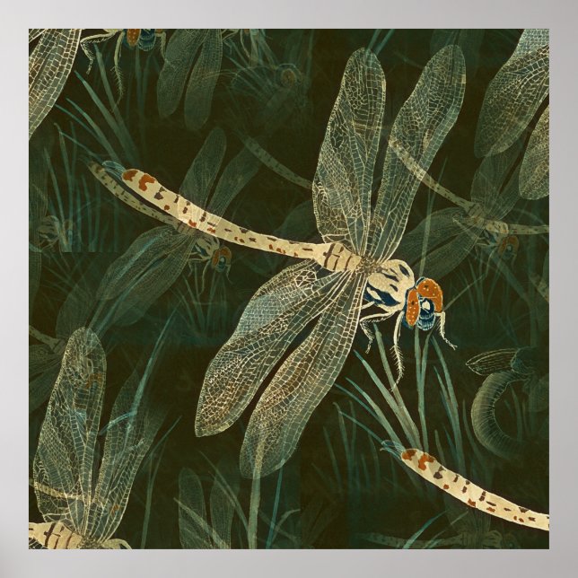 Majestic Dragonfly Pattern  Poster (Front)
