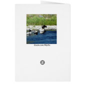 Majestic Eagle (Back)