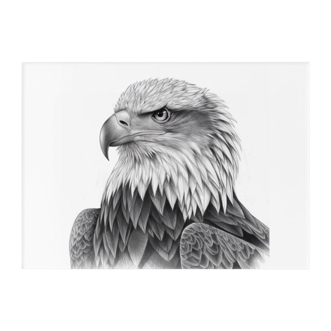 Majestic Eagle Acrylic Print (Front)