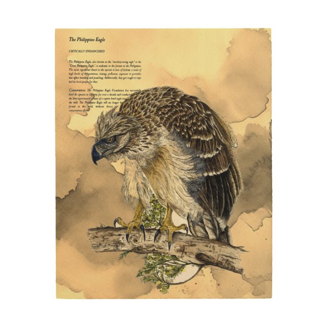 Majestic Eagle Artwork Wood Wall Art (Front)