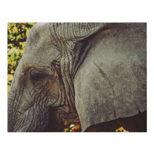 Majestic Elephant Faux Canvas Print