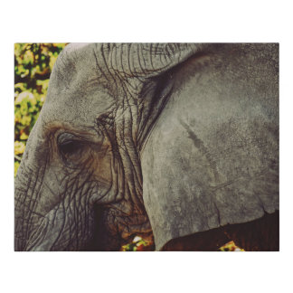 Majestic Elephant Faux Canvas Print