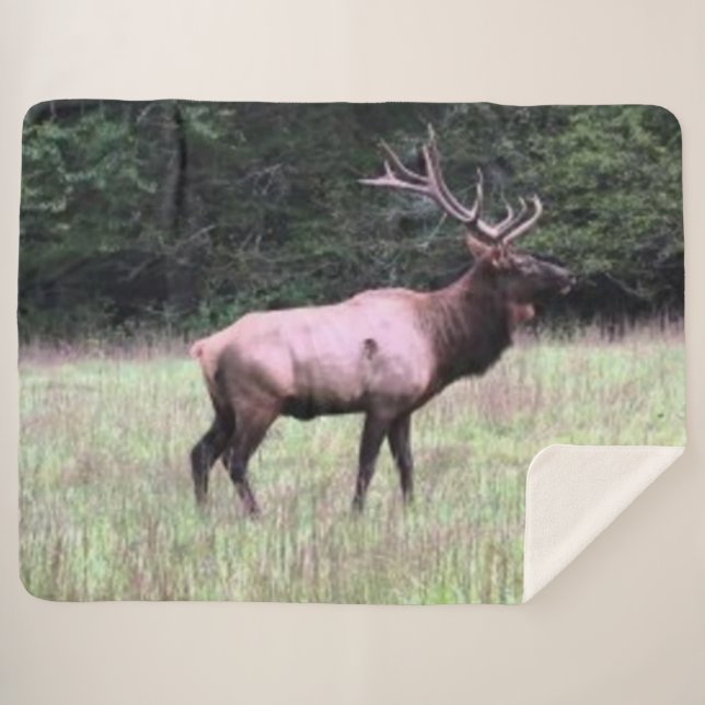 MAJESTIC ELK SHERPA BLANKET (Front (Horizontal))