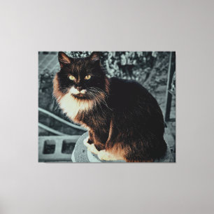 Majestic Fluffy Cat on a Pedestal Canvas Print