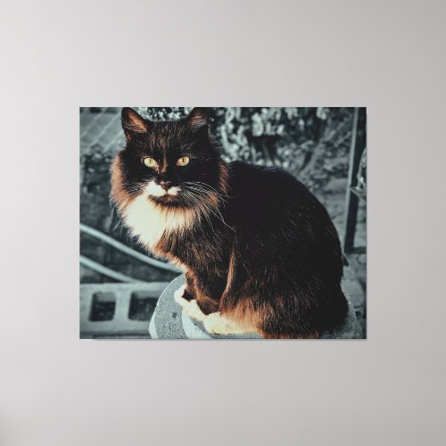 Majestic Fluffy Cat on a Pedestal Canvas Print