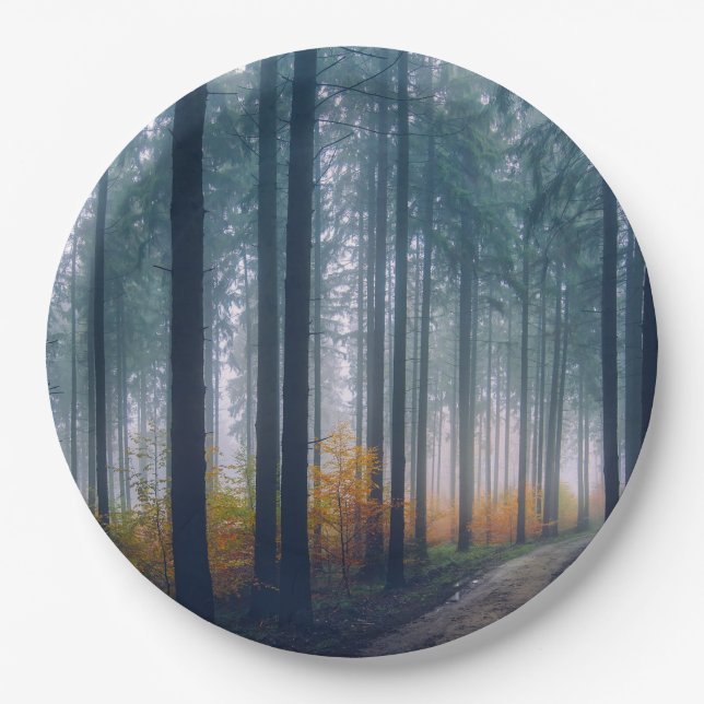Majestic Forest Path Paper Plates (Front)