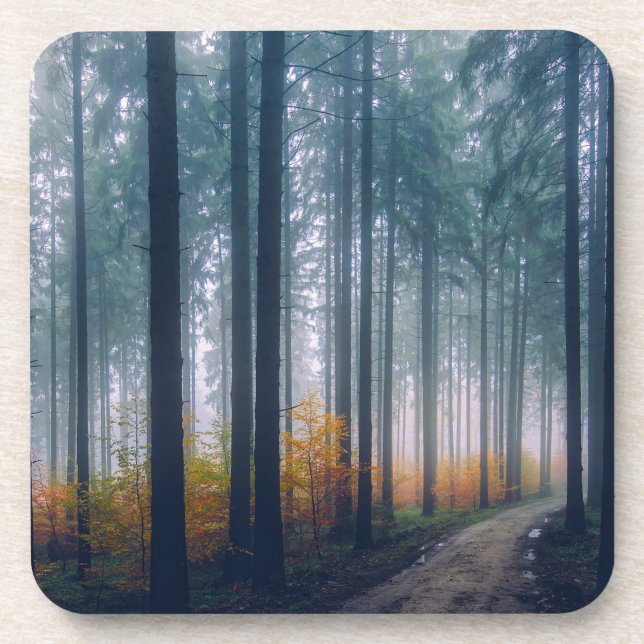 Majestic Forest Tree Lined Path Beverage Coaster (Front)